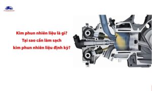 Kim phun nhiên liệu là gì