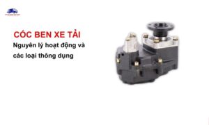 Cóc ben xe tải là gì?